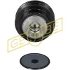 Polia do gerador Peugeot 301