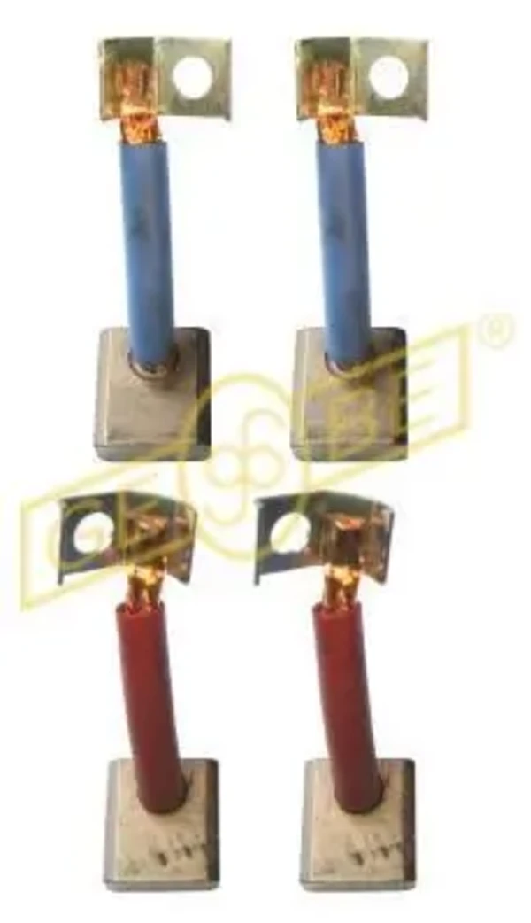 Escova do gerador para Mercedes S (W221)
