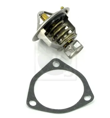 Termostato N153N04 NPS