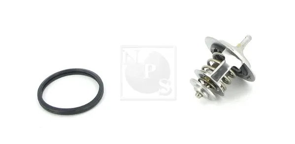 Termostato T153A21 NPS