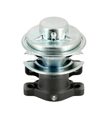 Válvula EGR de recirculação dos gases Hyundai Terracan HP