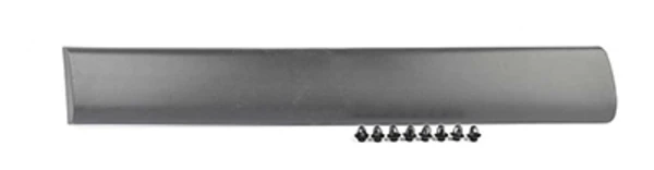 Moldura da porta traseira direita inferior BSG70924003 BSG