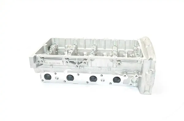 BSG30110006 BSG