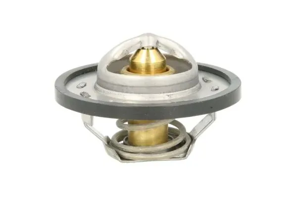 Caixa do termostato D2R004TT Thermotec