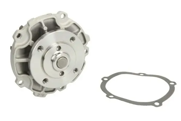 Bomba de água (bomba) de esfriamento D1Y029TT Thermotec