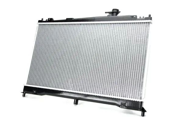 Radiador de esfriamento de motor D73010TT Thermotec