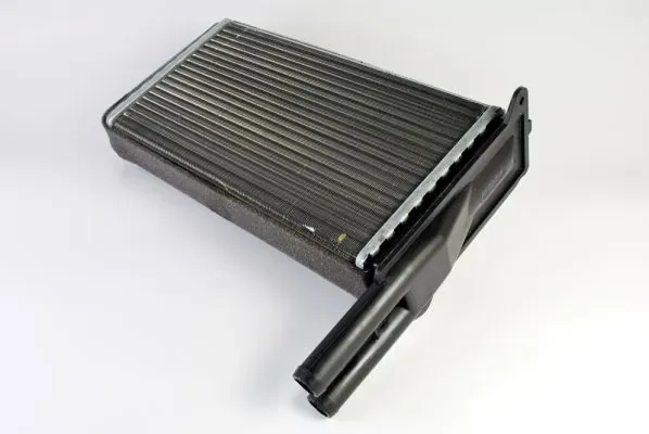 Radiador de forno (de aquecedor) D6G002TT Thermotec