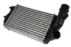 Radiador de intercooler Citroen Jumper 244