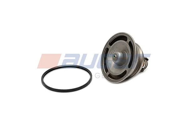 Termostato 7421746213 Renault (RVI)