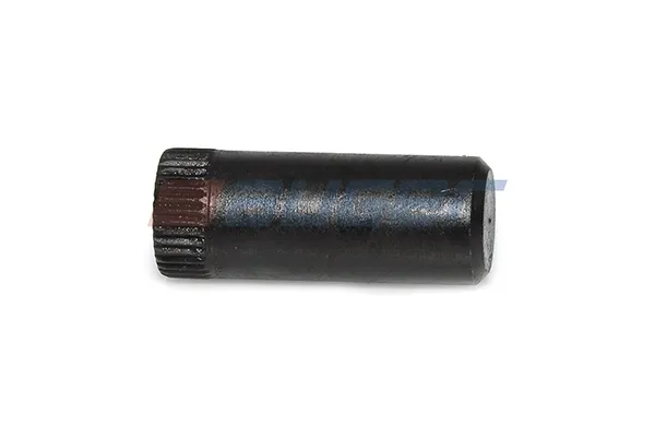 Passador das sapatas do freio de tambor traseiros 70404 DAF