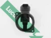 FDM5031 Lucas