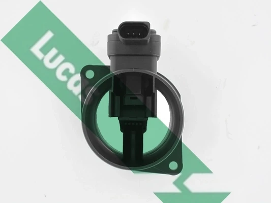 FDM5031 Lucas