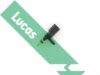 SNB1451 Lucas