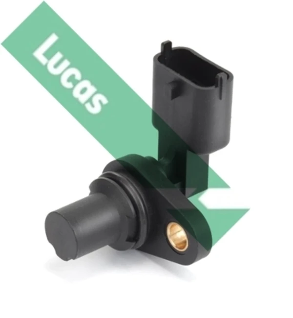 SEB1635 Lucas