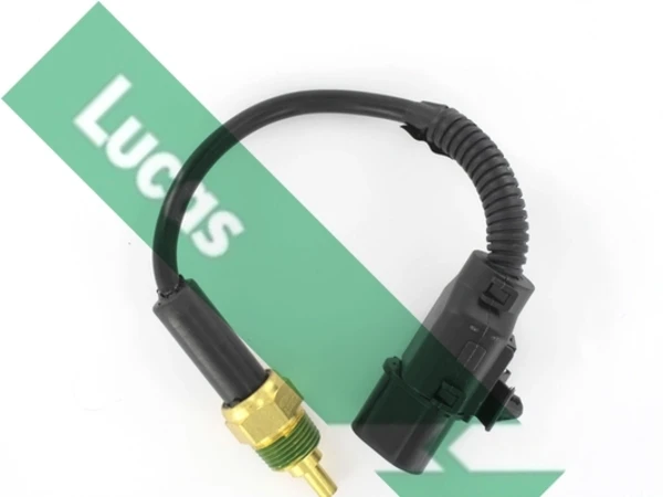 SNB5066 Lucas