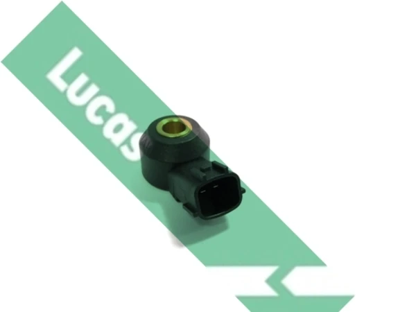 SEB1458 Lucas