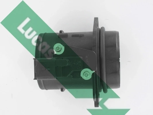 FDM5008 Lucas