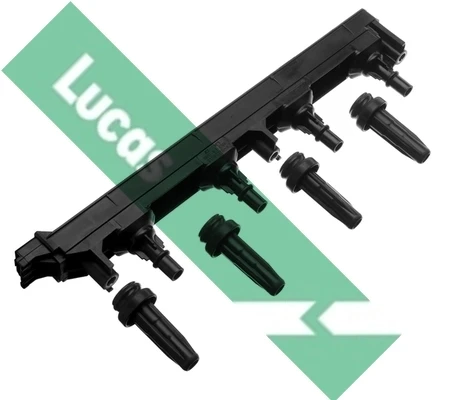 DMB917 Lucas