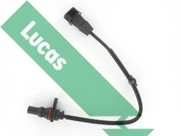 SEB7825 Lucas