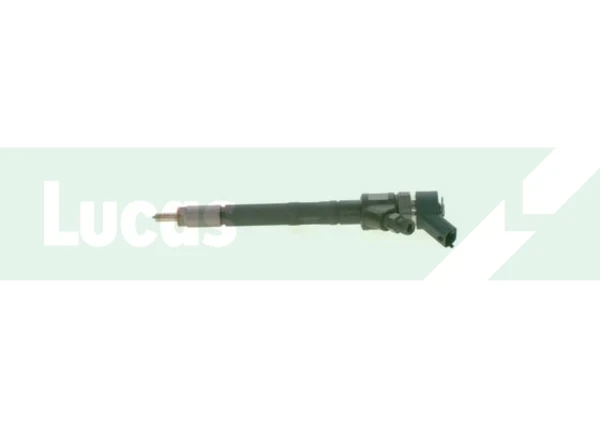 LDFB0165 Lucas