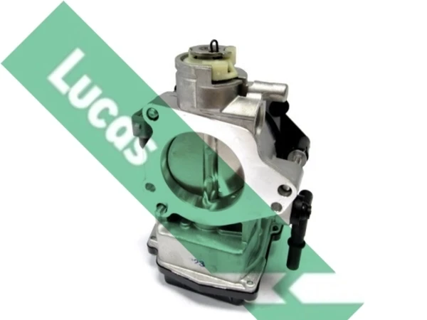 LTH506 Lucas