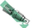 SNB1133 Lucas