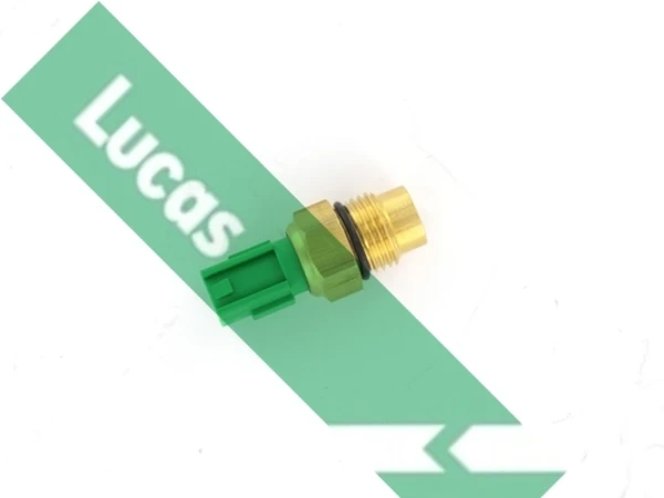 SNB1247 Lucas