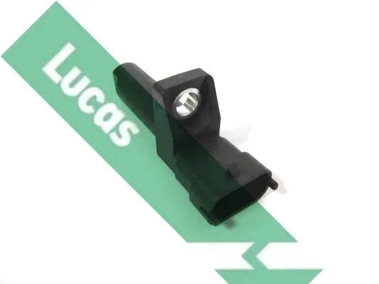 SEB2095 Lucas