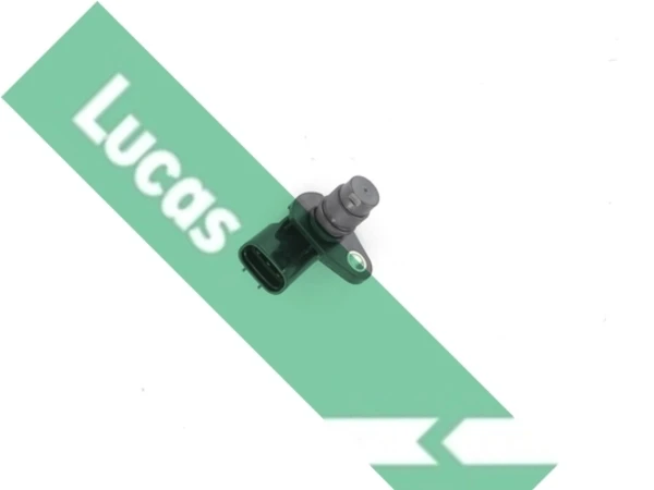 SEB5024 Lucas