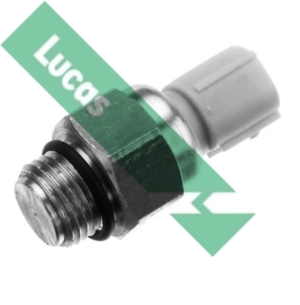 SNB873 Lucas