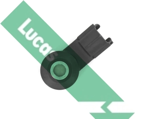 SEB1894 Lucas