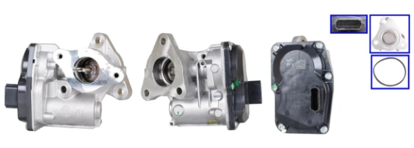 LEV2151 Lucas