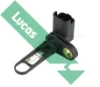 SNB1128 Lucas