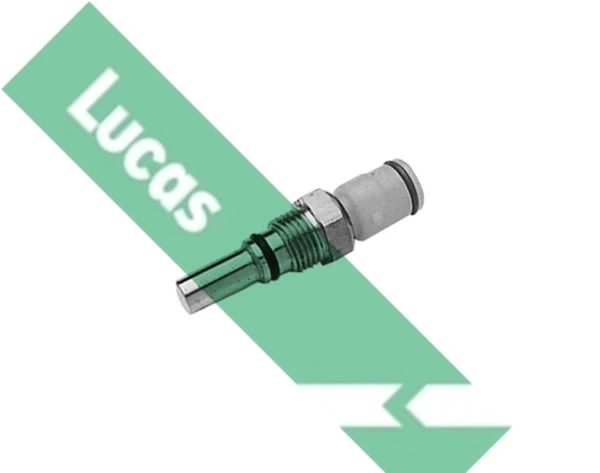 SNB1304 Lucas