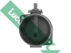 FDM5023 Lucas