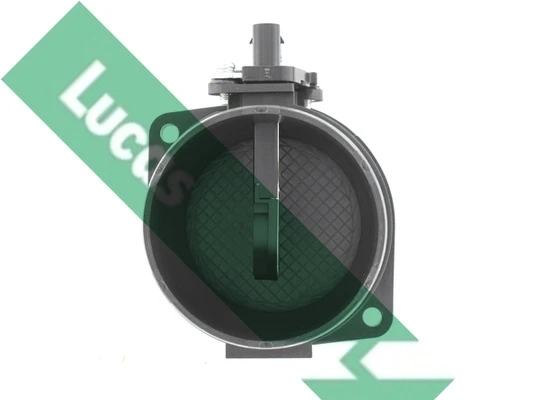 FDM5023 Lucas