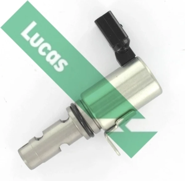 SEB7782 Lucas