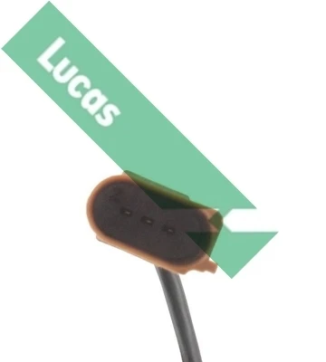 SEB2022 Lucas