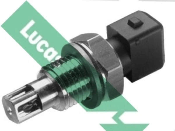SNB819 Lucas