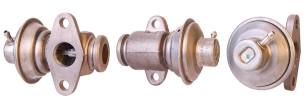 Válvula EGR de recirculação dos gases para Renault Trafic (TXW)