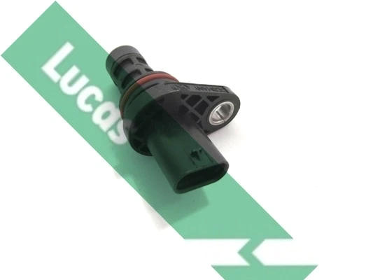 SEB2064 Lucas