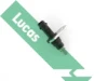 SNB5049 Lucas