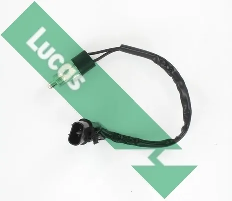 SMB769 Lucas
