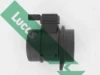 FDM5031 Lucas