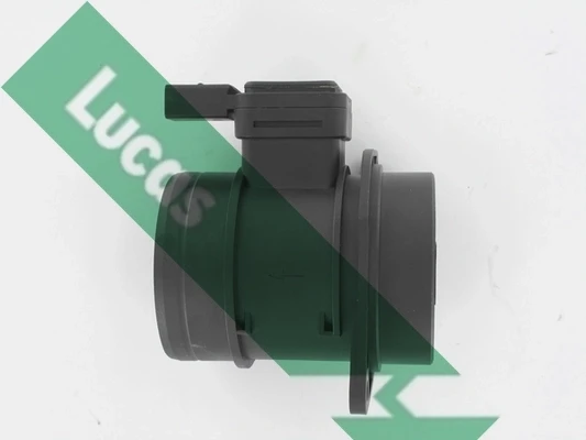 FDM5031 Lucas