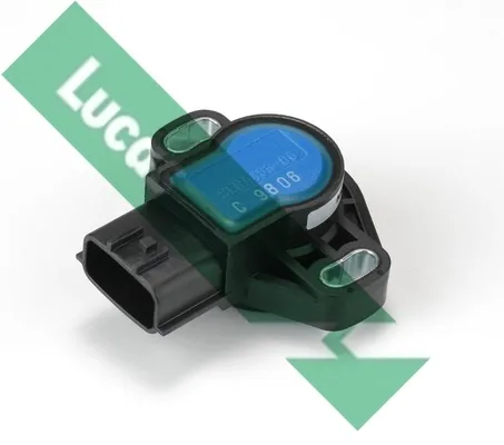 SEB2055 Lucas