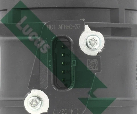 FDM5023 Lucas