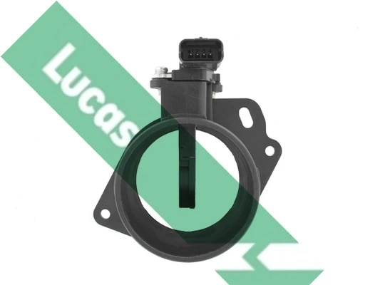FDM5008 Lucas
