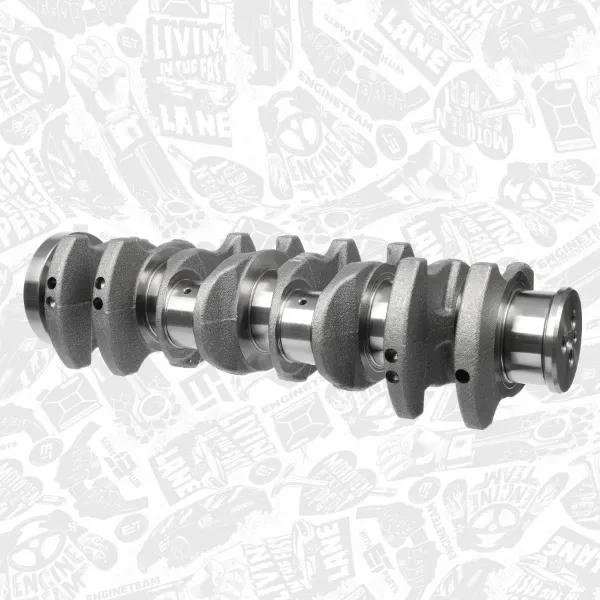 Cambota de motor Fiat Ducato 3 250