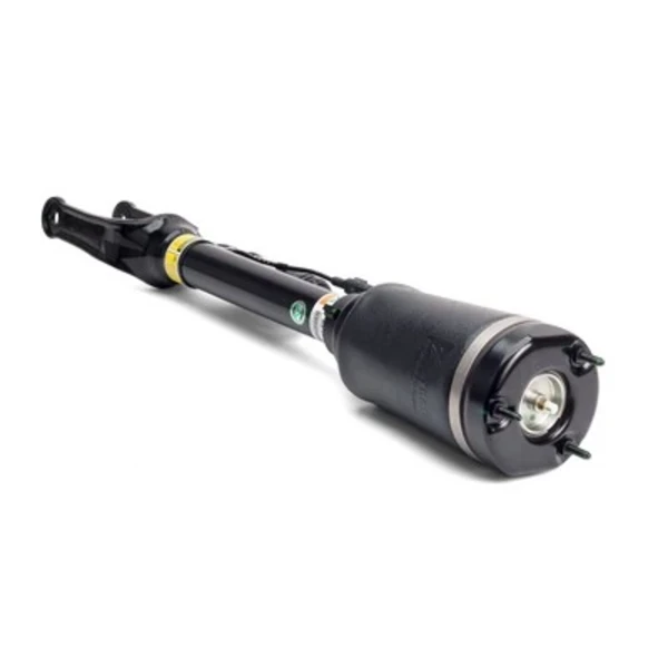 AS-2450 Arnott amortecedor dianteiro